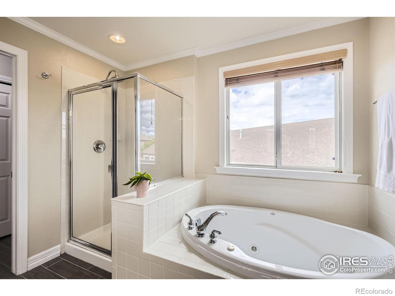 MLS Image #18 for 1427  curtiss court,fort collins, Colorado