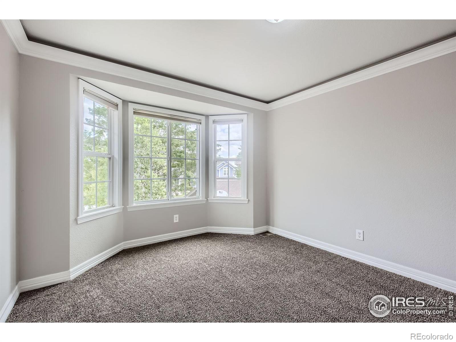 MLS Image #19 for 1427  curtiss court,fort collins, Colorado