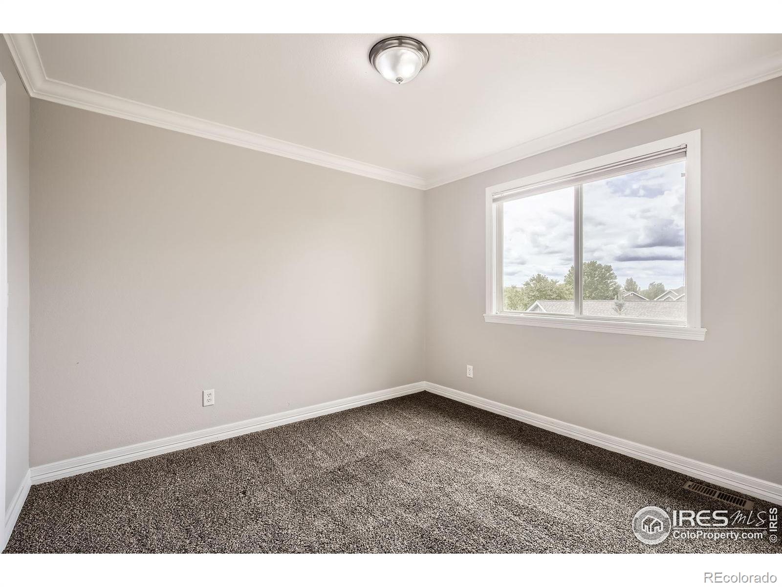 MLS Image #20 for 1427  curtiss court,fort collins, Colorado