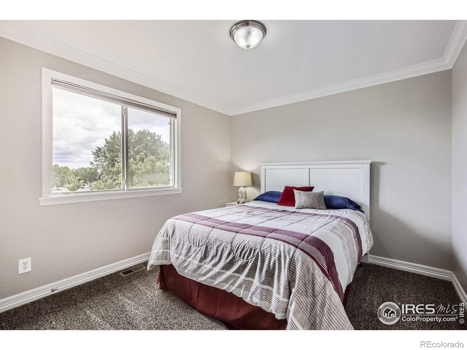 MLS Image #22 for 1427  curtiss court,fort collins, Colorado