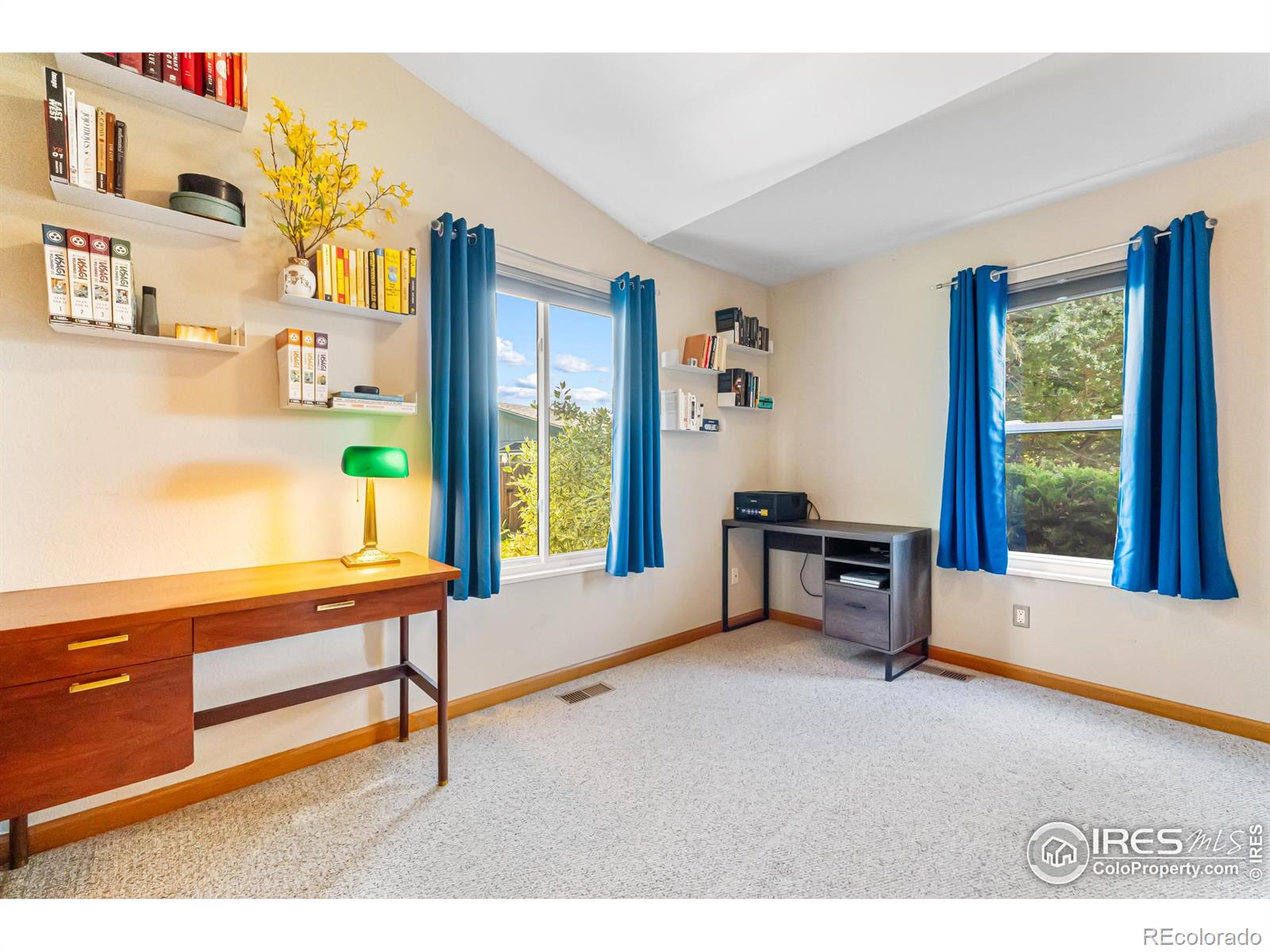 MLS Image #19 for 2324  plains court,fort collins, Colorado