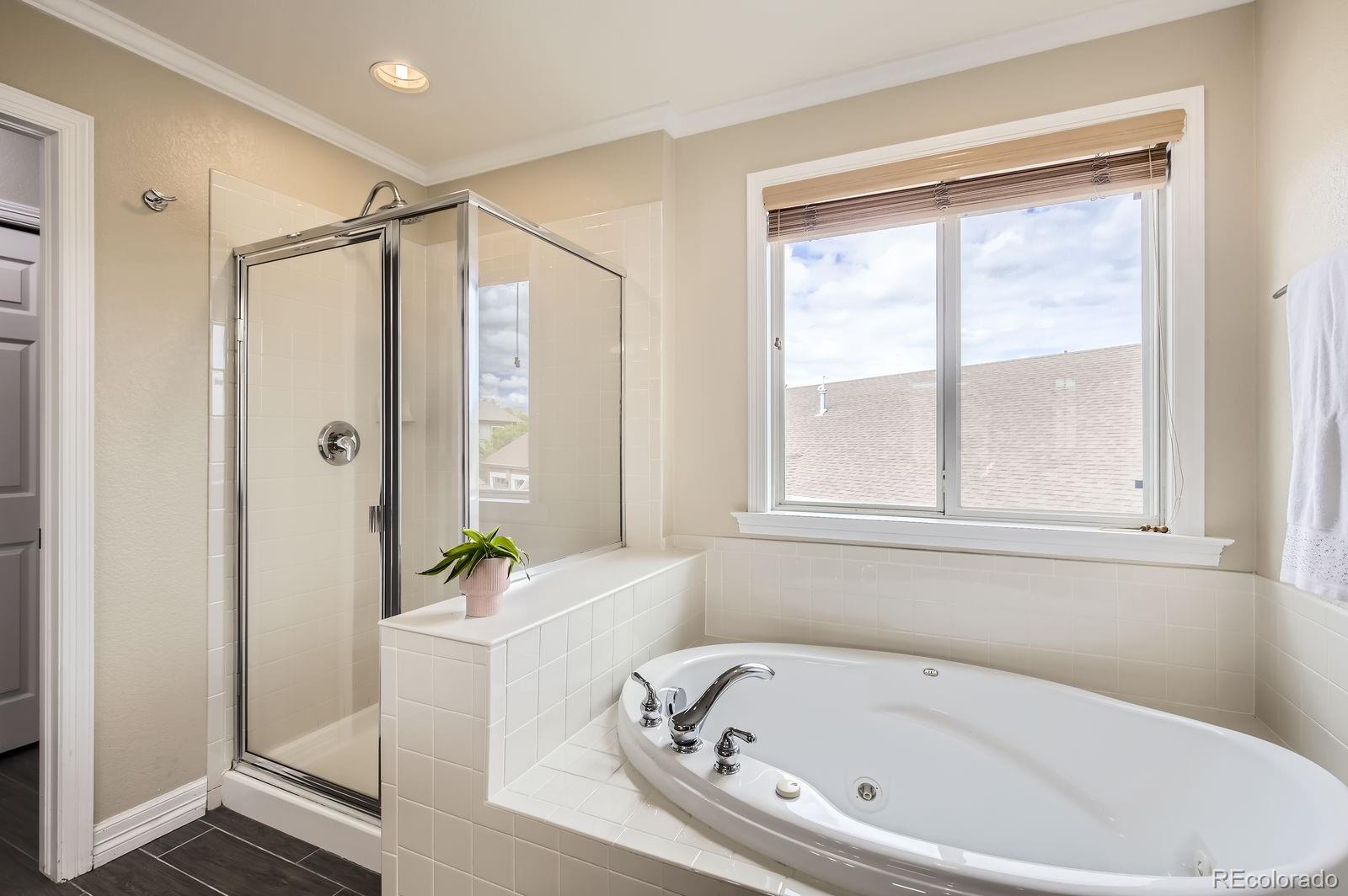 MLS Image #19 for 1427  curtiss court,fort collins, Colorado