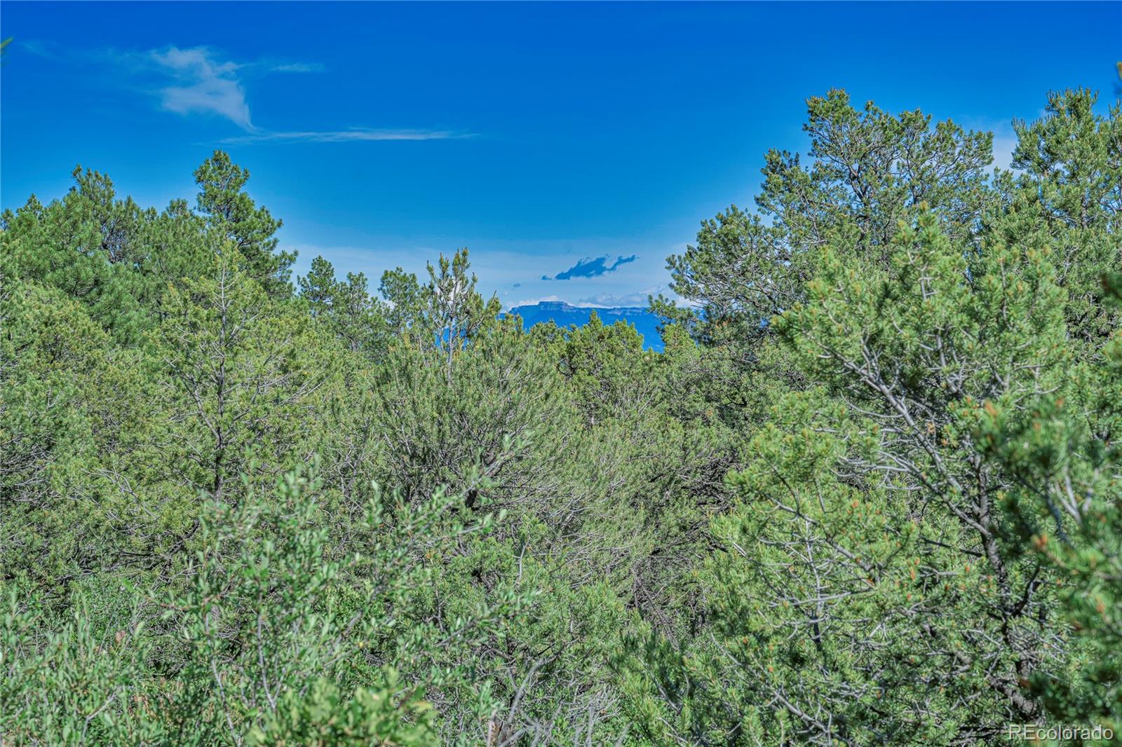 MLS Image #26 for 23358  county road 30.1 ,boncarbo, Colorado