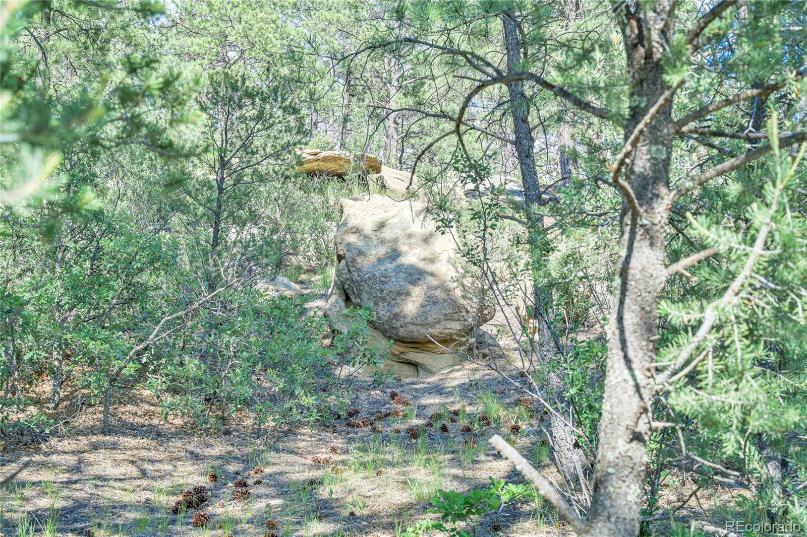 MLS Image #36 for 23358  county road 30.1 ,boncarbo, Colorado