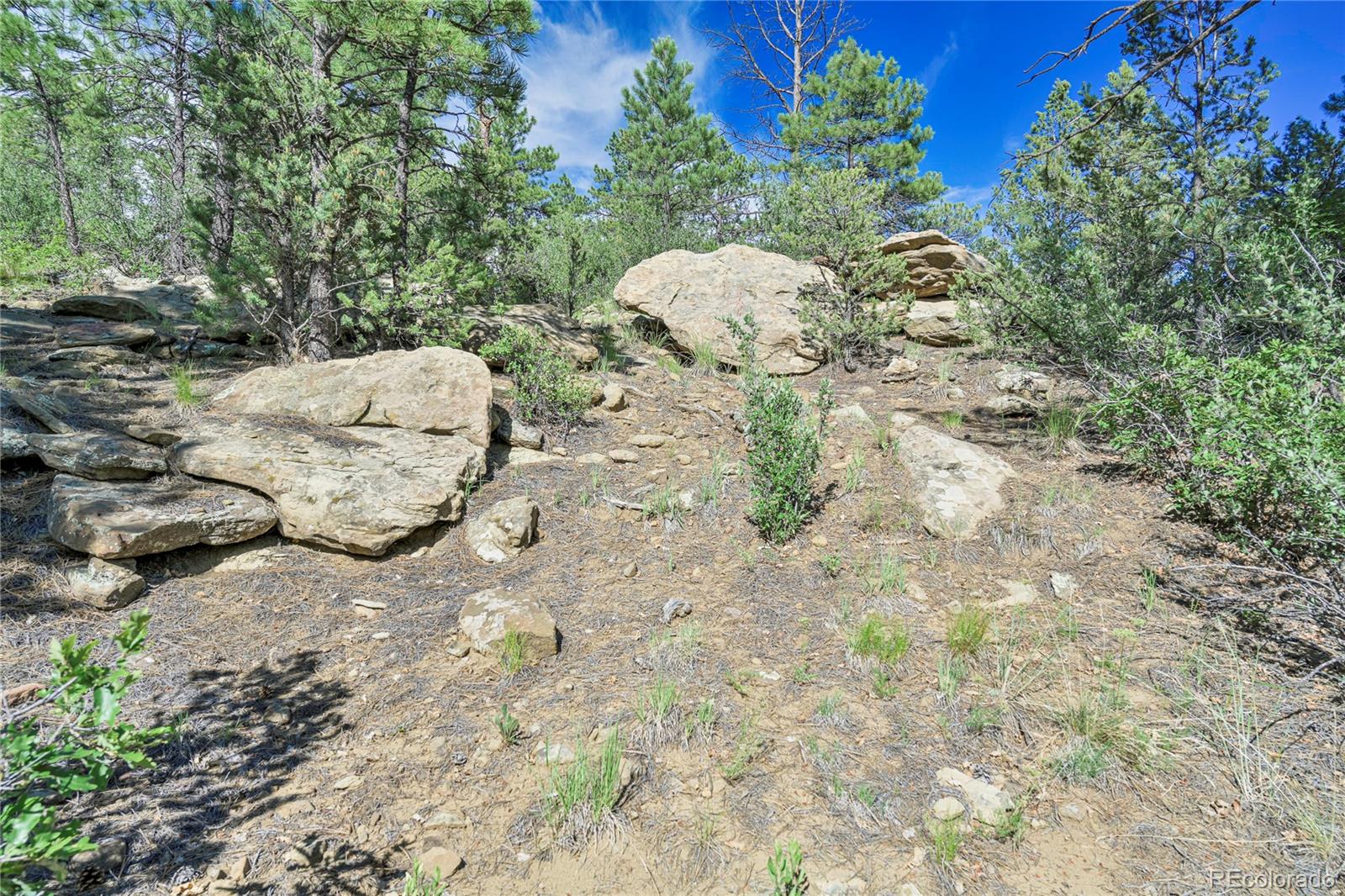 MLS Image #39 for 23358  county road 30.1 ,boncarbo, Colorado