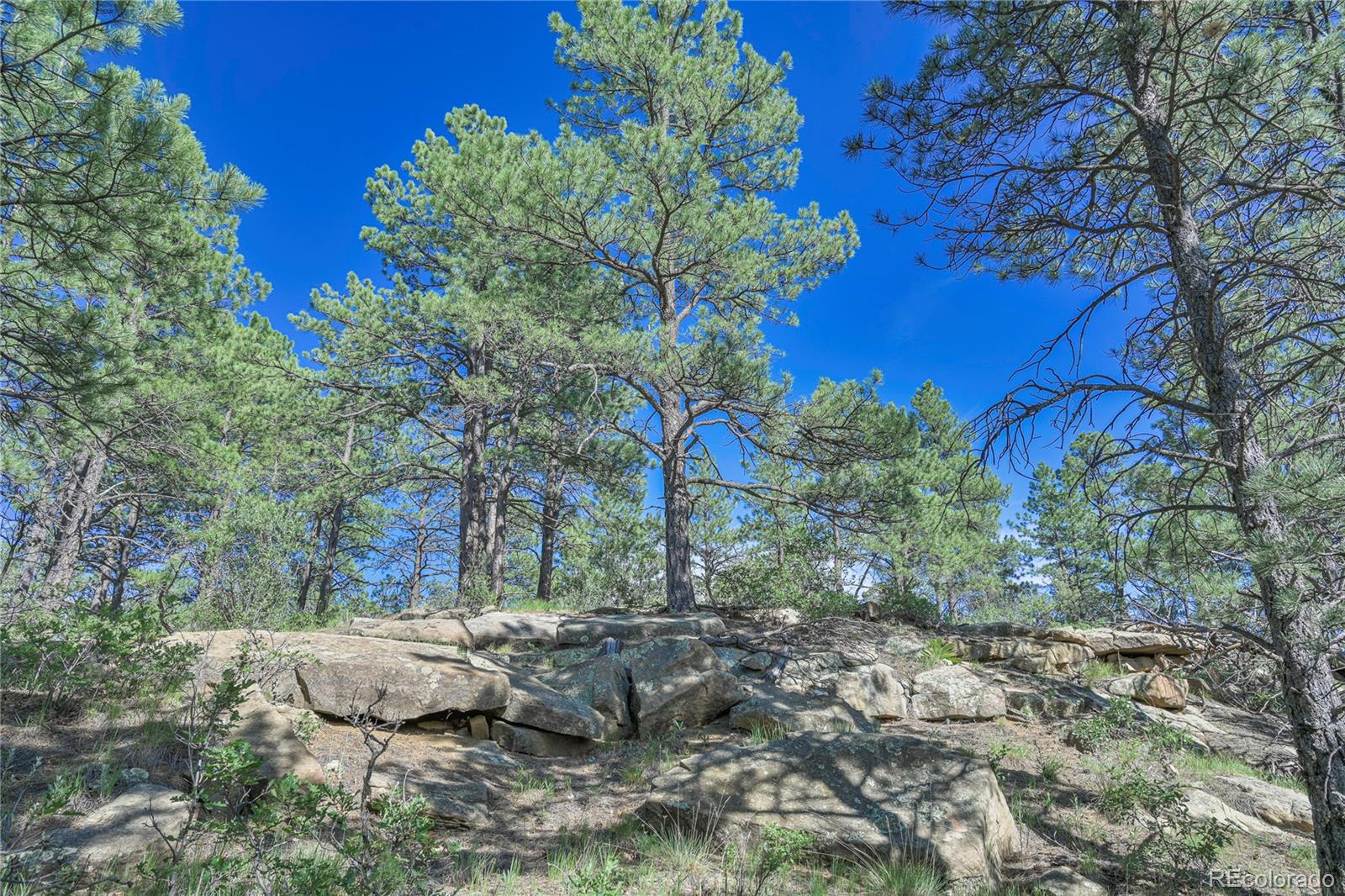 MLS Image #40 for 23358  county road 30.1 ,boncarbo, Colorado