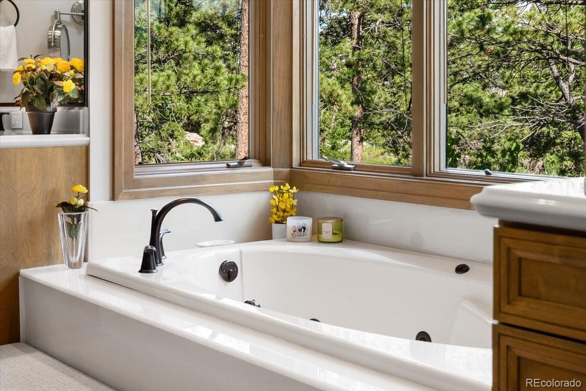 MLS Image #40 for 2140  fox acres drive,red feather lakes, Colorado