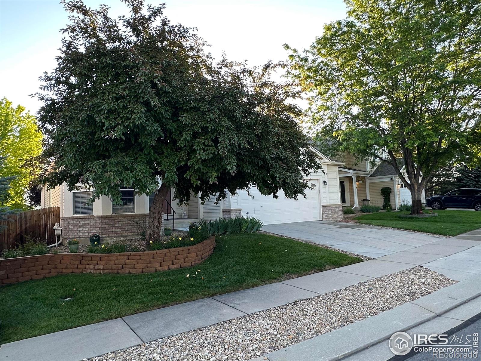 MLS Image #1 for 3542  larkspur drive,longmont, Colorado