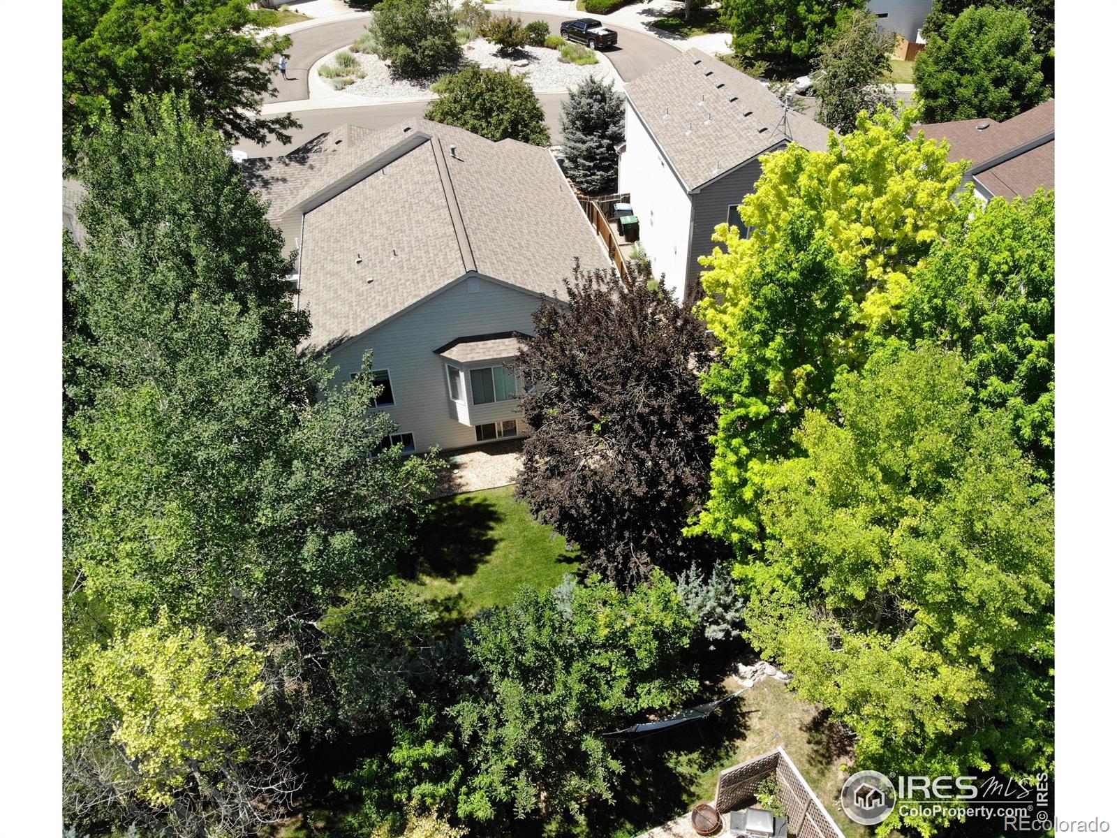 MLS Image #3 for 3542  larkspur drive,longmont, Colorado