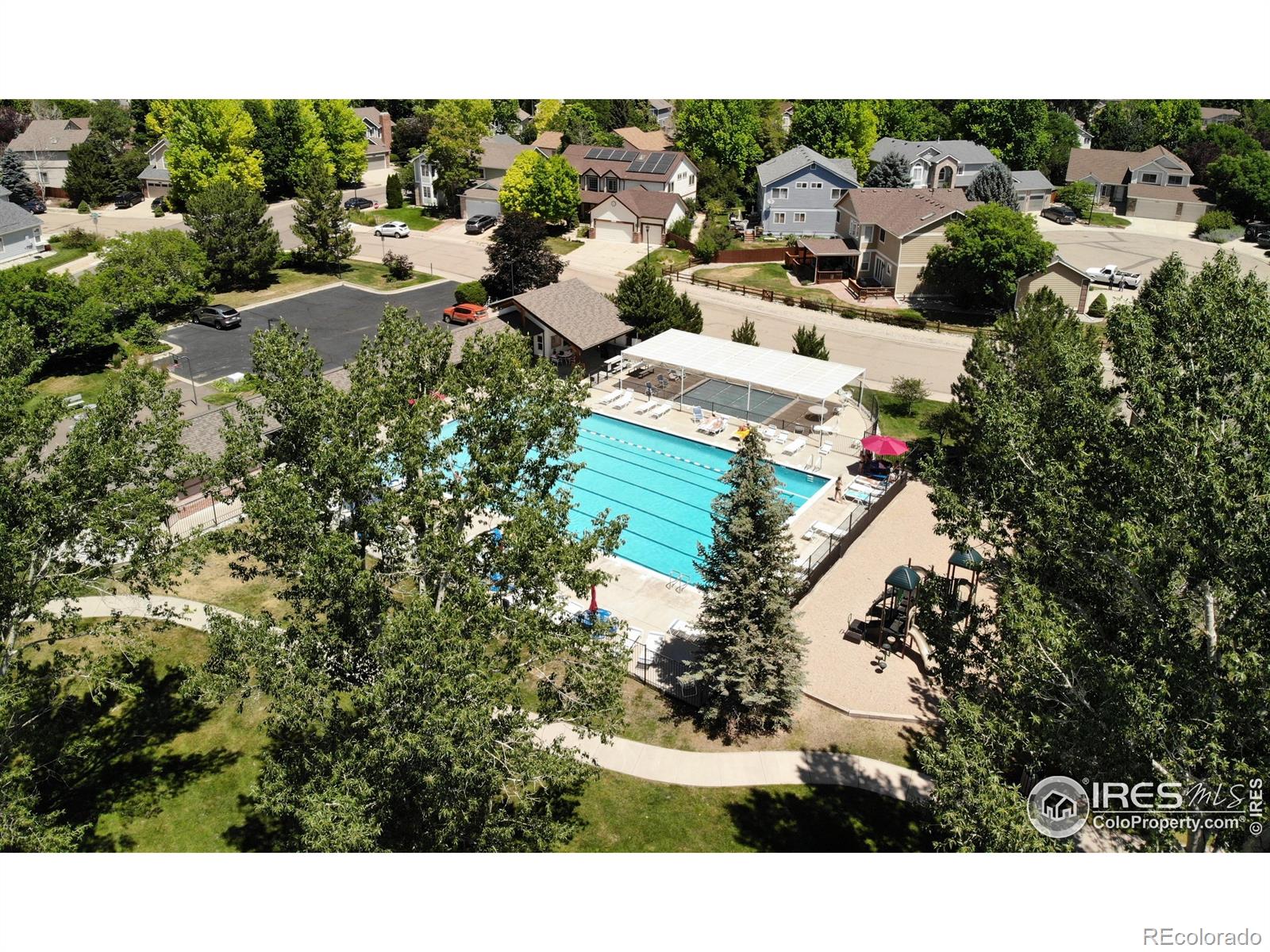 MLS Image #4 for 3542  larkspur drive,longmont, Colorado