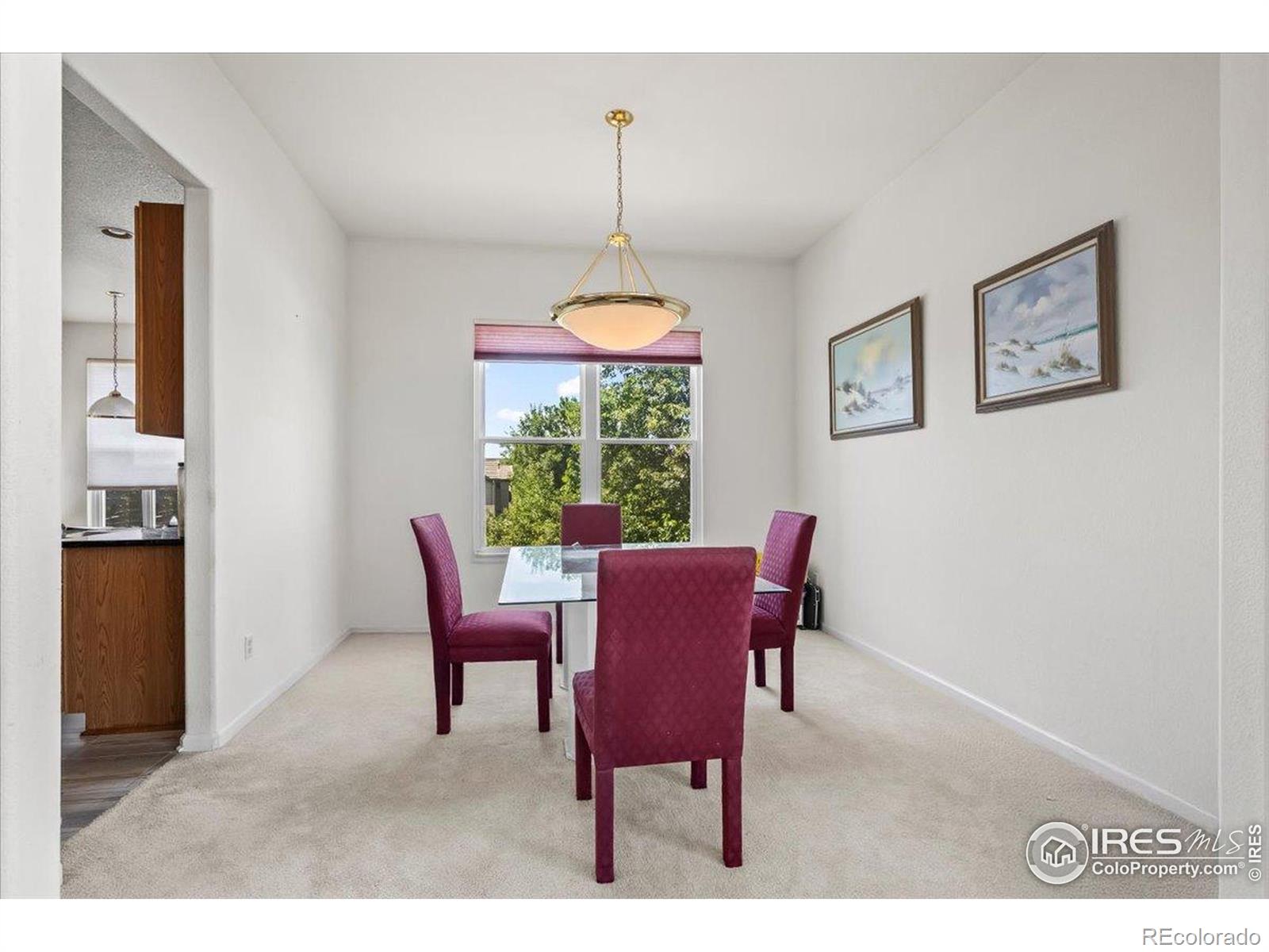 MLS Image #9 for 888  northern way,superior, Colorado