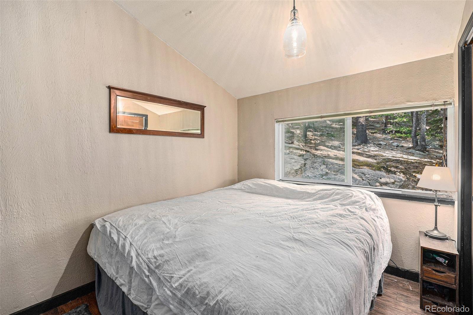 MLS Image #11 for 200  crest drive,idaho springs, Colorado