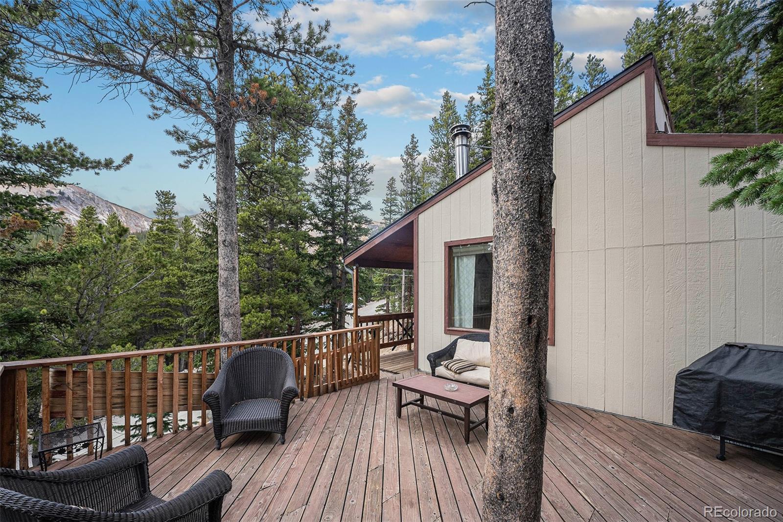 MLS Image #19 for 200  crest drive,idaho springs, Colorado