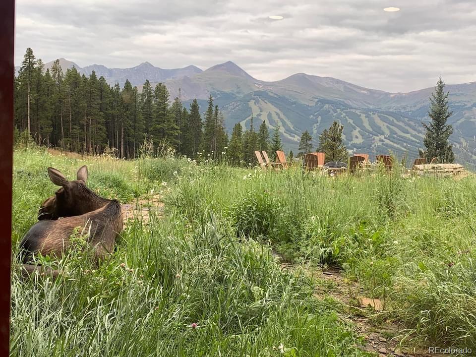 MLS Image #10 for 59  club house road,breckenridge, Colorado