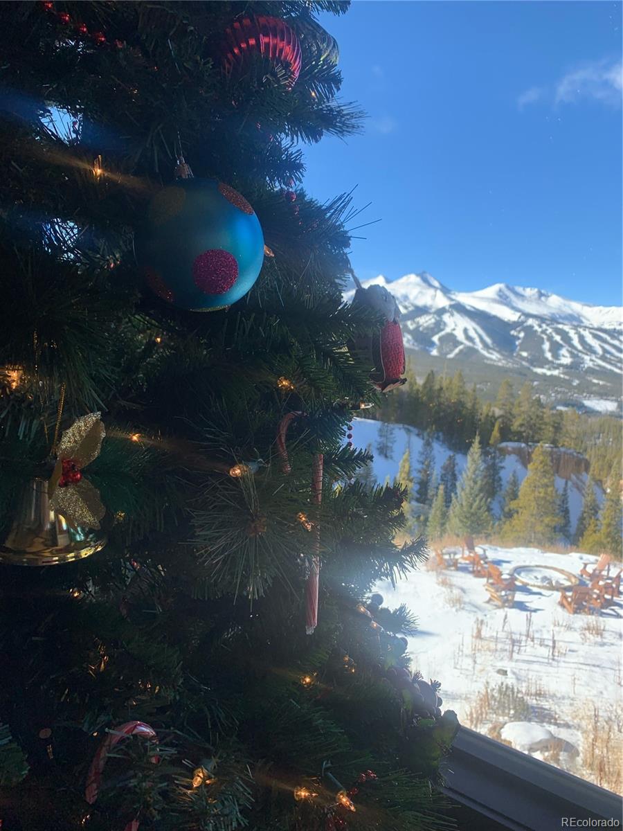 MLS Image #45 for 59  club house road,breckenridge, Colorado