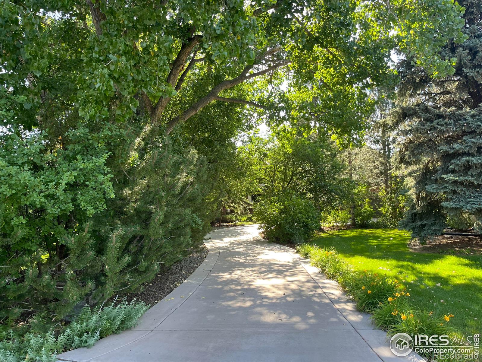MLS Image #37 for 1323  swallow court,boulder, Colorado