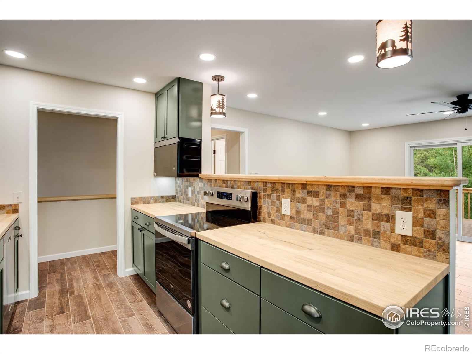 MLS Image #19 for 1021  hide a way lane,estes park, Colorado