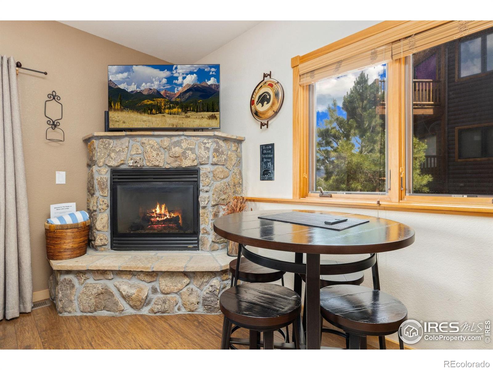 MLS Image #7 for 2625  marys lake road,estes park, Colorado