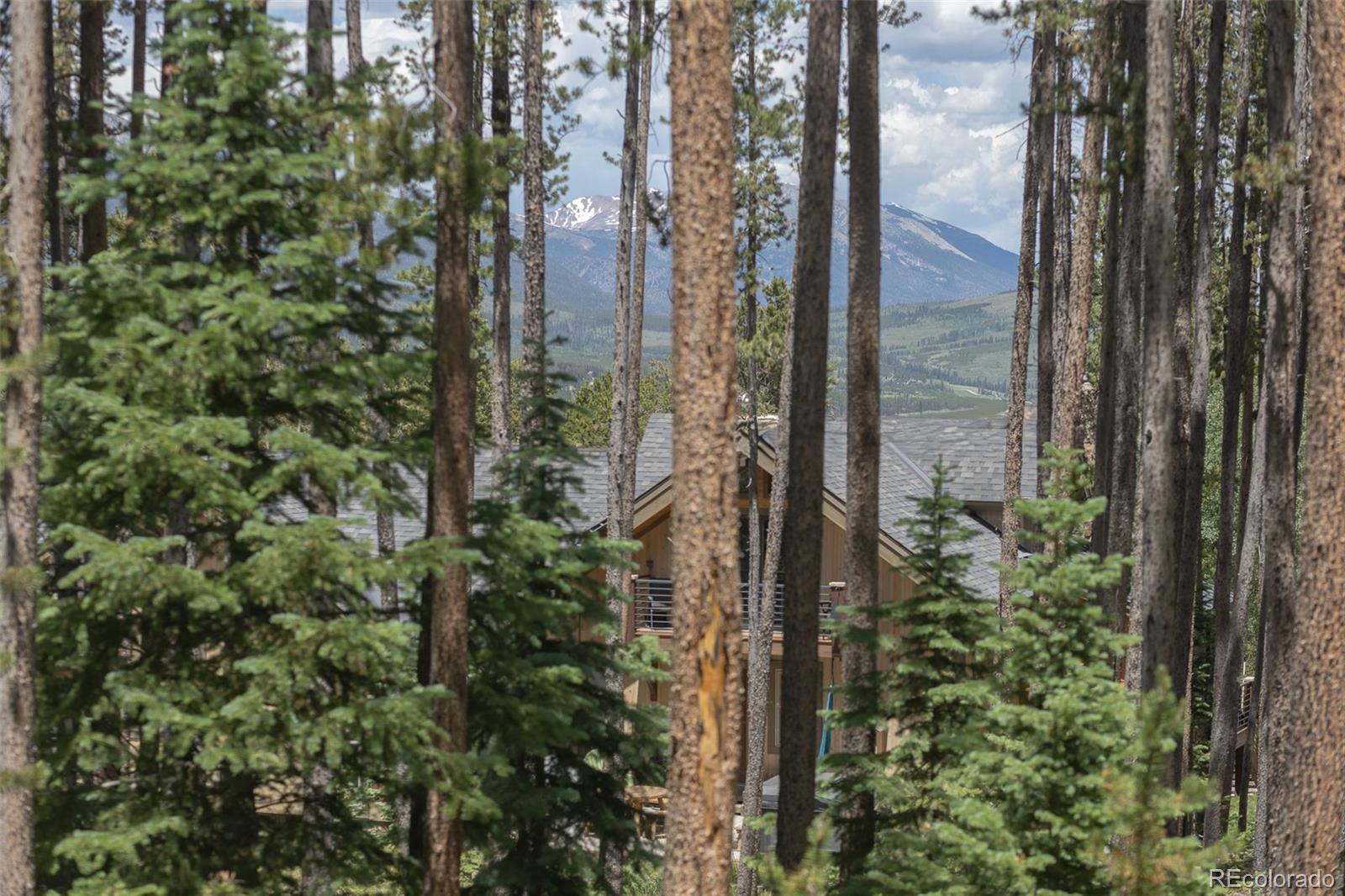 MLS Image #12 for 387  moonstone road,breckenridge, Colorado
