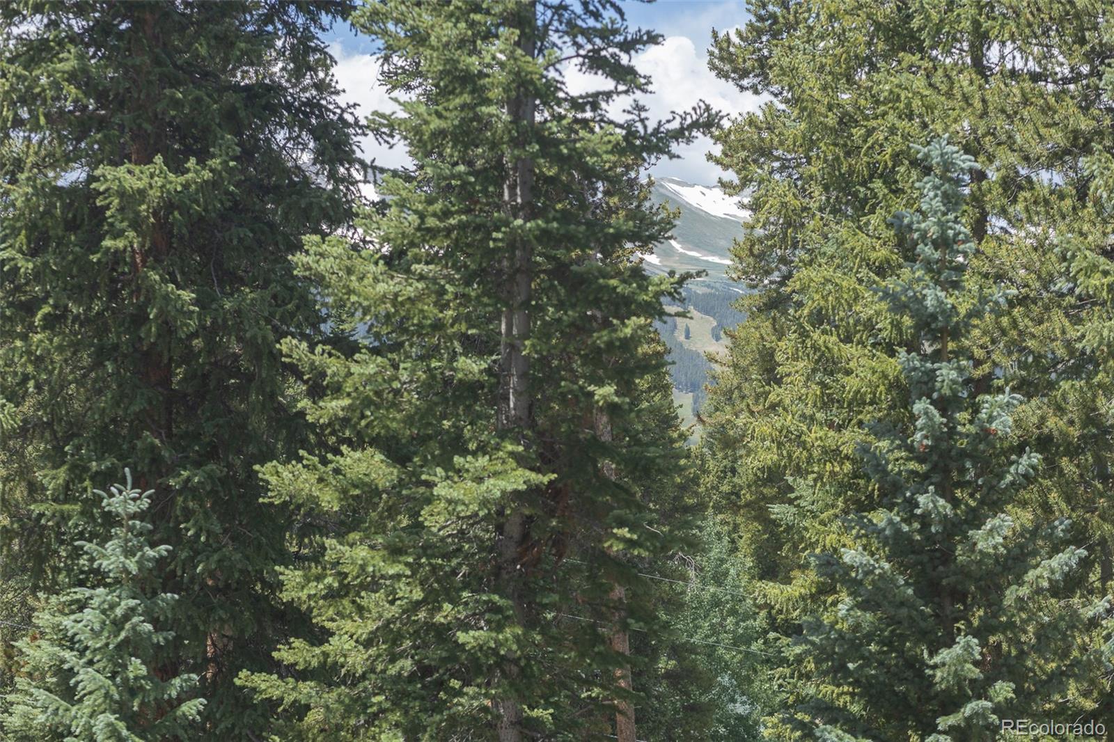 MLS Image #34 for 387  moonstone road,breckenridge, Colorado