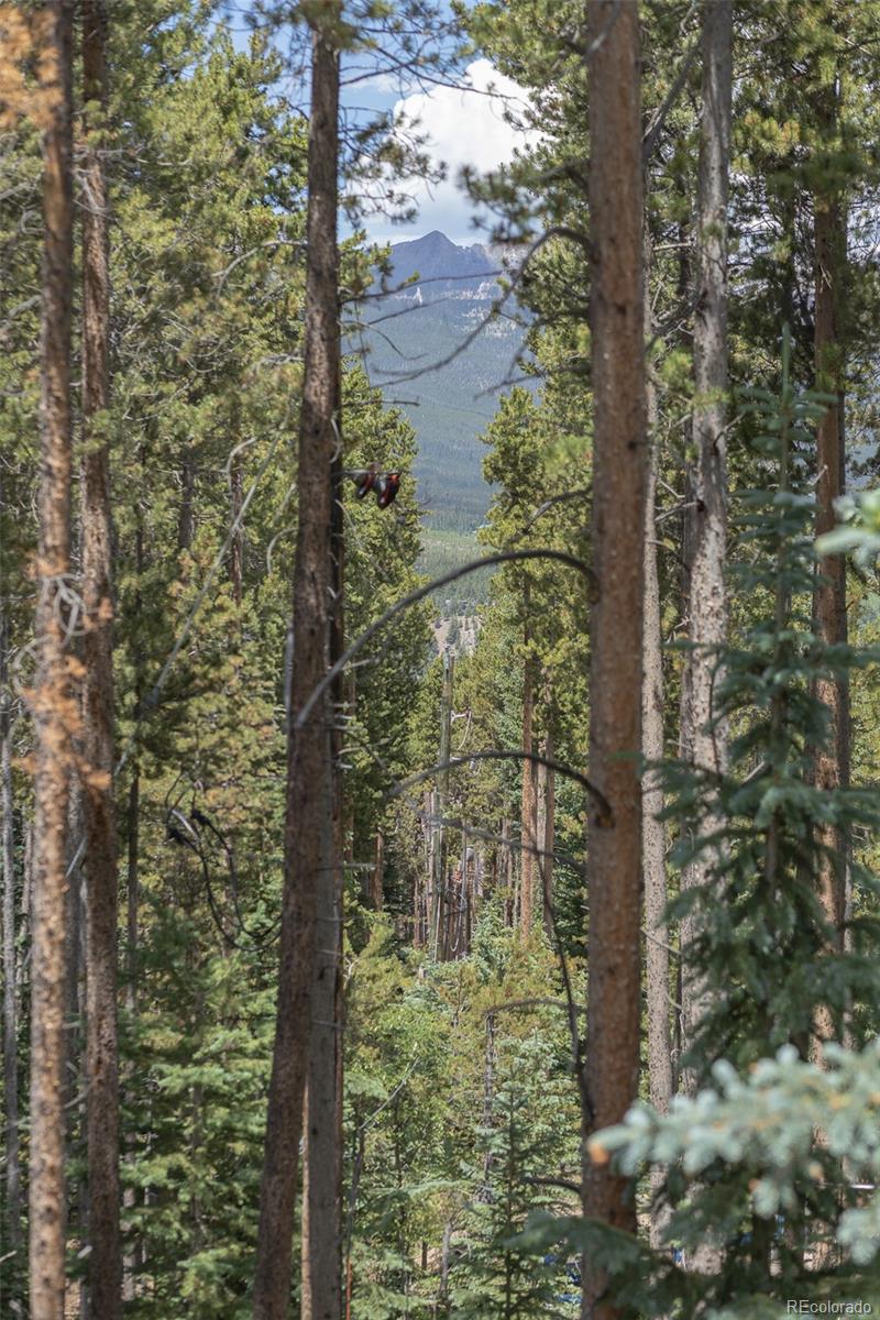 MLS Image #46 for 387  moonstone road,breckenridge, Colorado