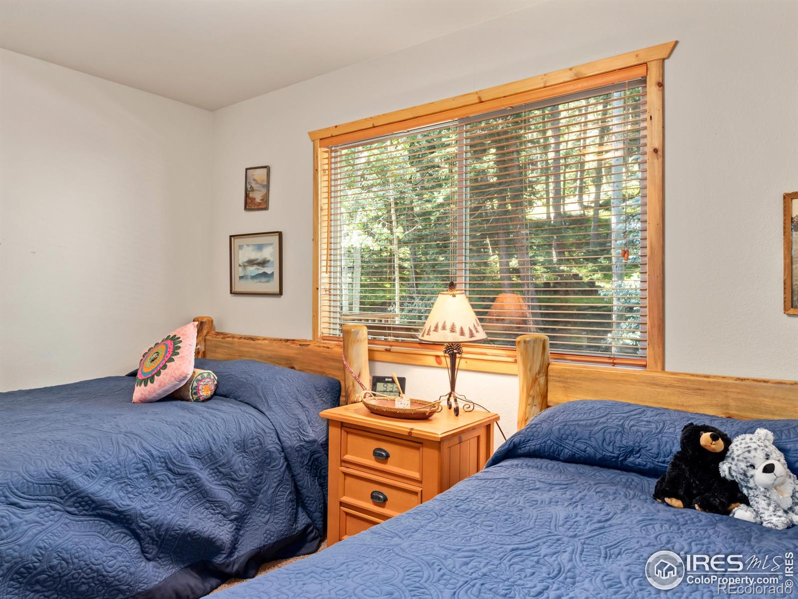 MLS Image #20 for 1035  streamside drive,glen haven, Colorado