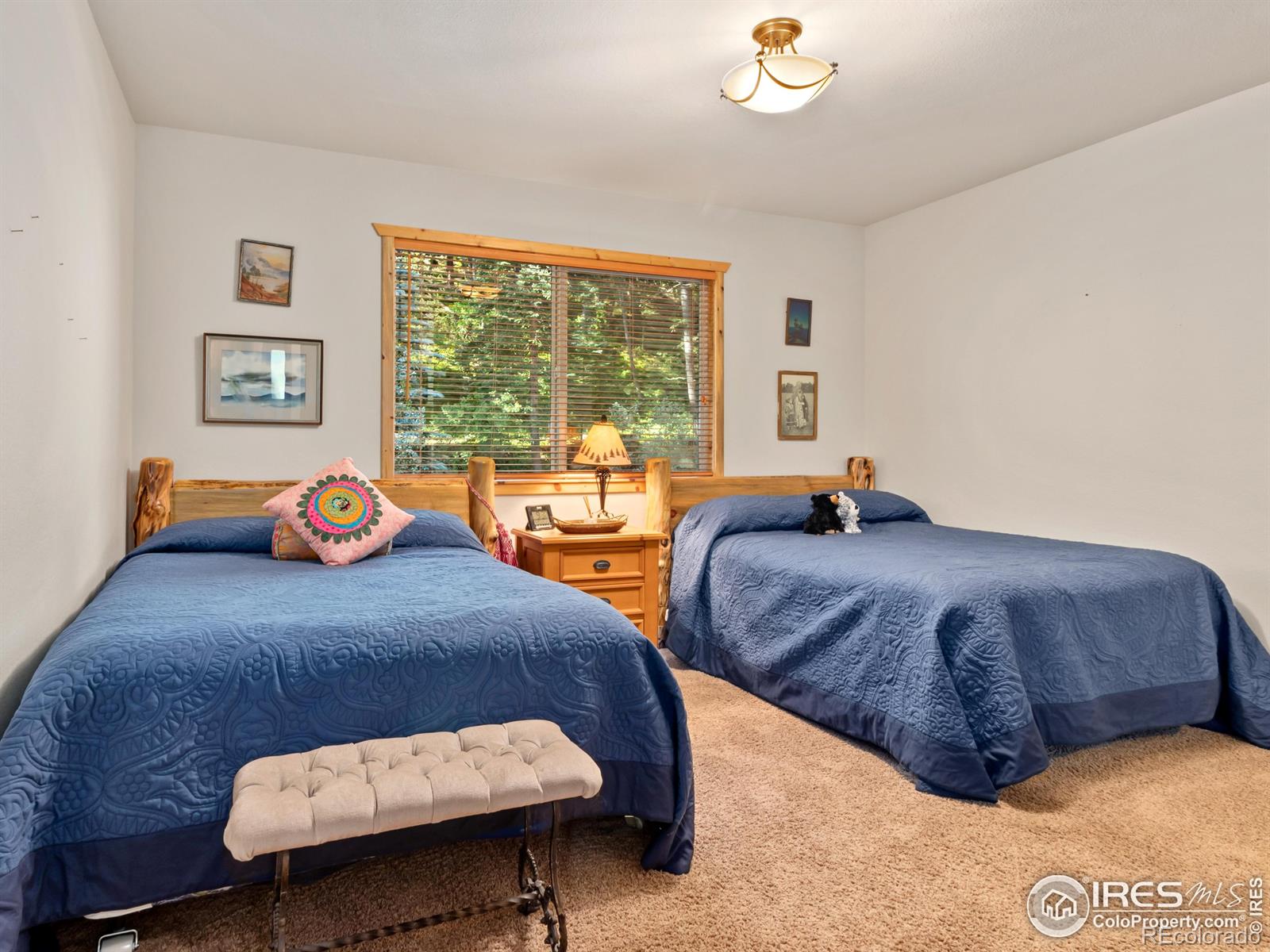 MLS Image #21 for 1035  streamside drive,glen haven, Colorado