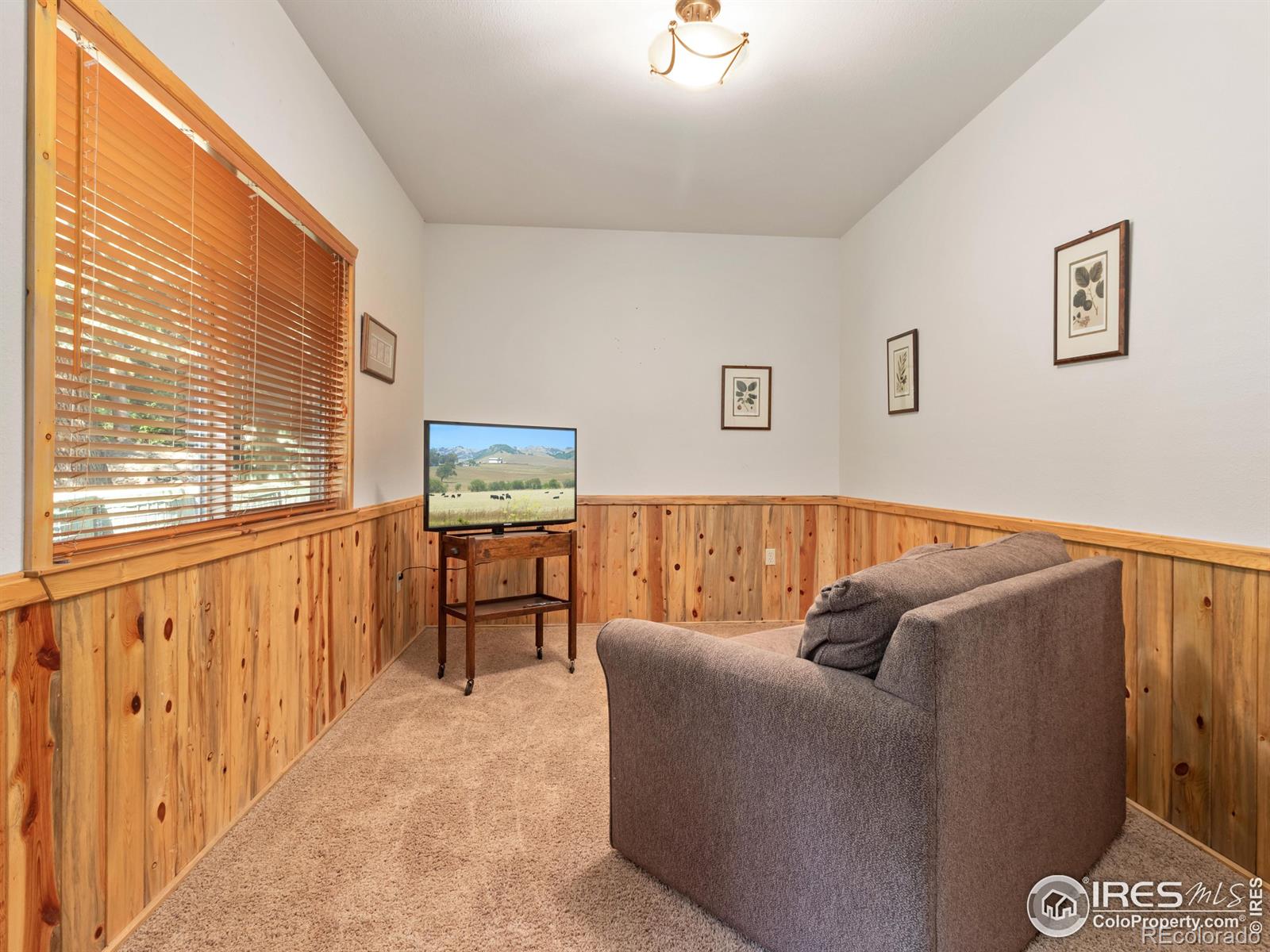 MLS Image #23 for 1035  streamside drive,glen haven, Colorado