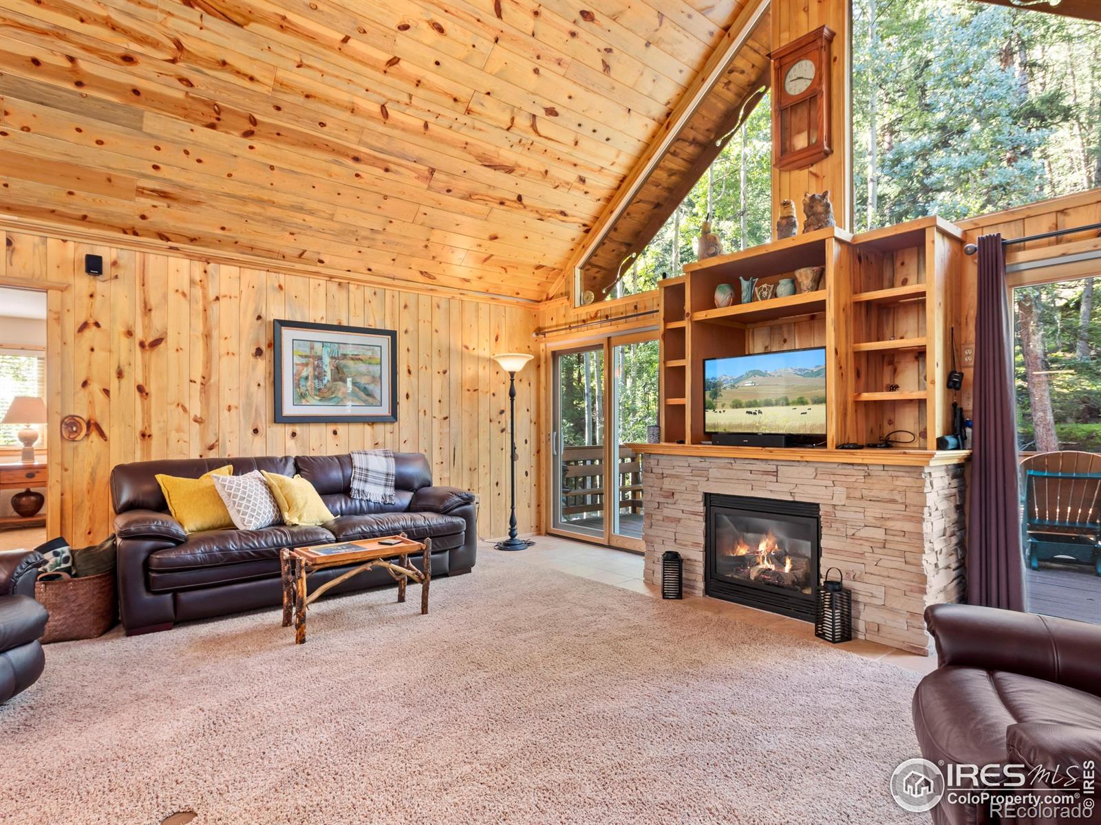 MLS Image #6 for 1035  streamside drive,glen haven, Colorado