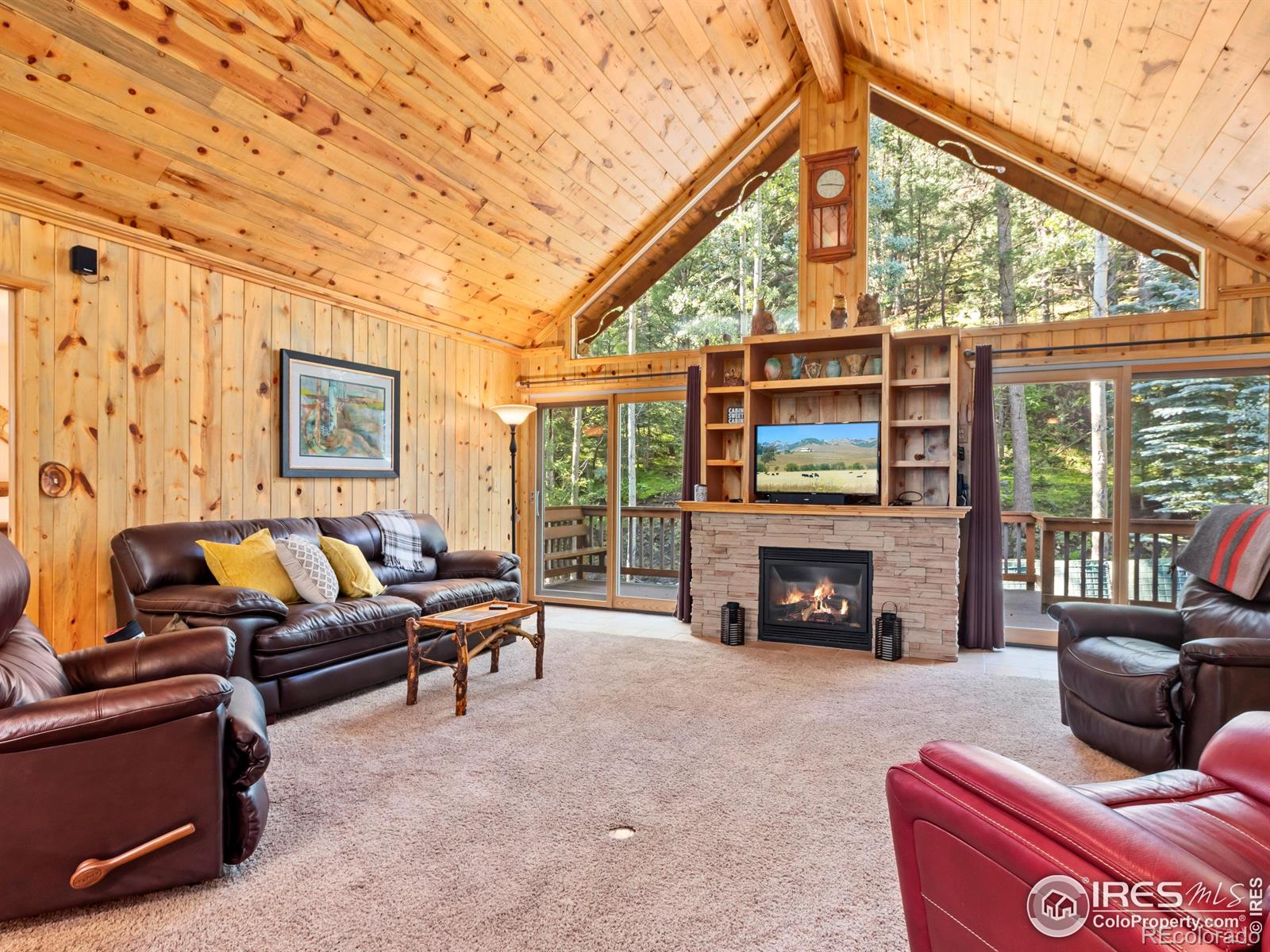 MLS Image #7 for 1035  streamside drive,glen haven, Colorado