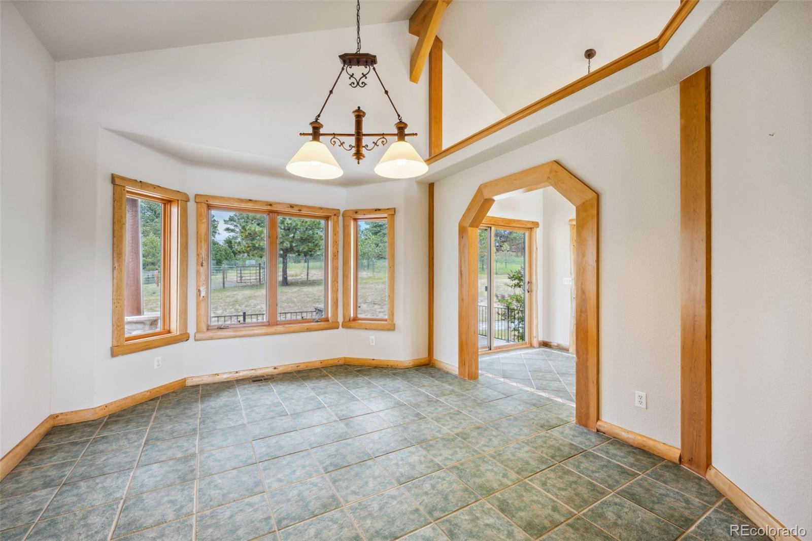 MLS Image #21 for 16575  dancing wolf way,colorado springs, Colorado