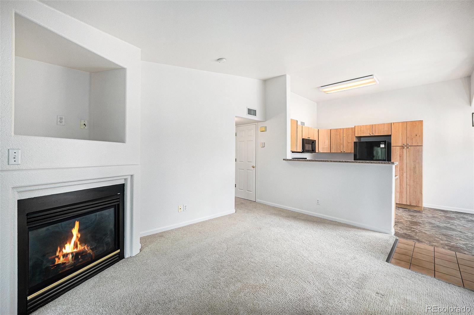 MLS Image #7 for 1196  opal street,broomfield, Colorado