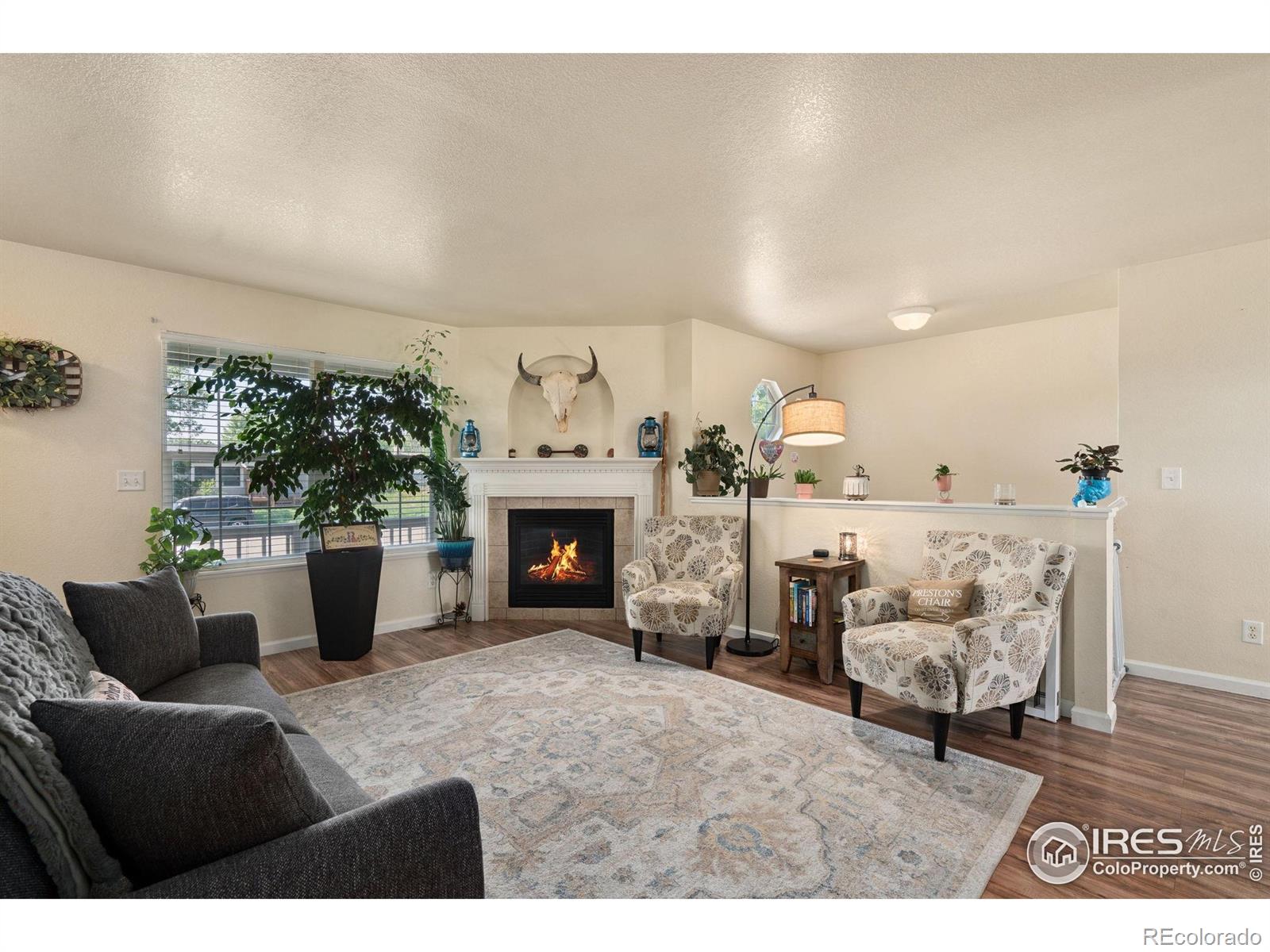 MLS Image #5 for 4521  mesa verde drive,greeley, Colorado