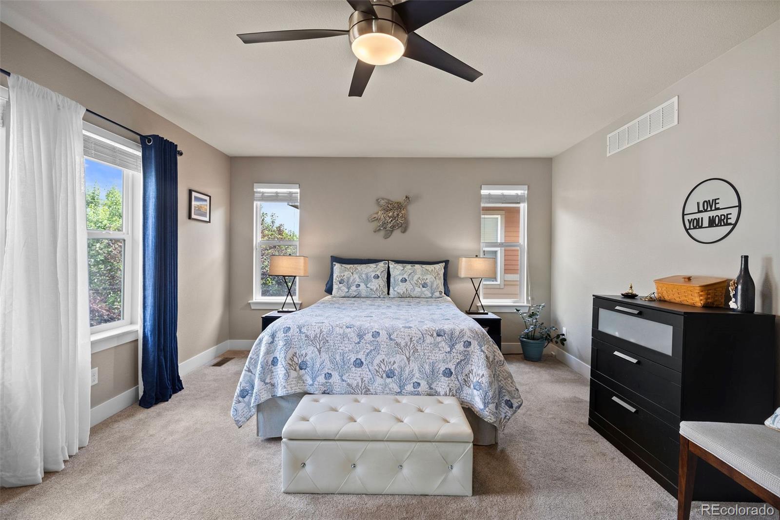 MLS Image #16 for 10388  rutledge street,parker, Colorado