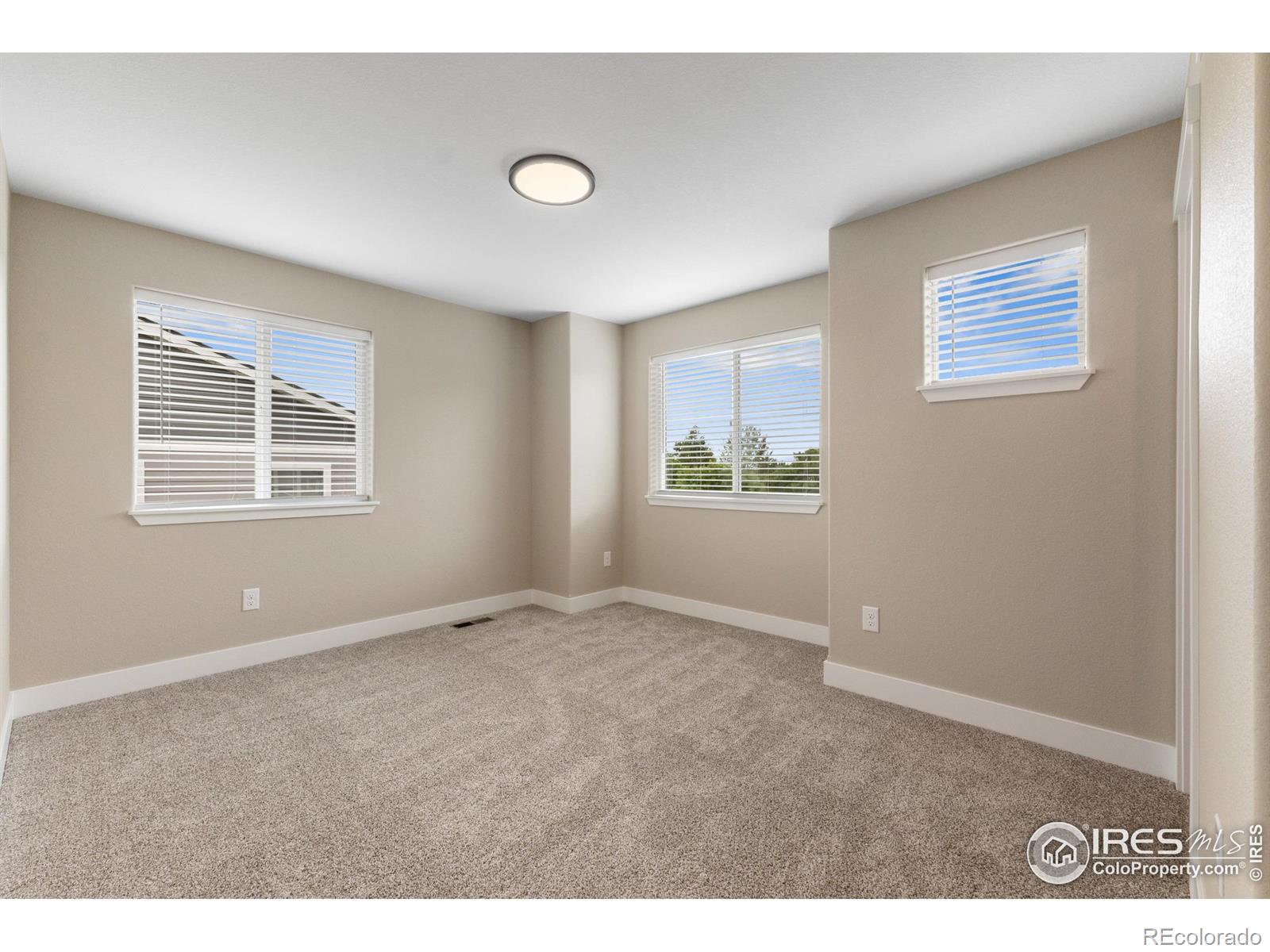 MLS Image #10 for 1673  valency drive,loveland, Colorado
