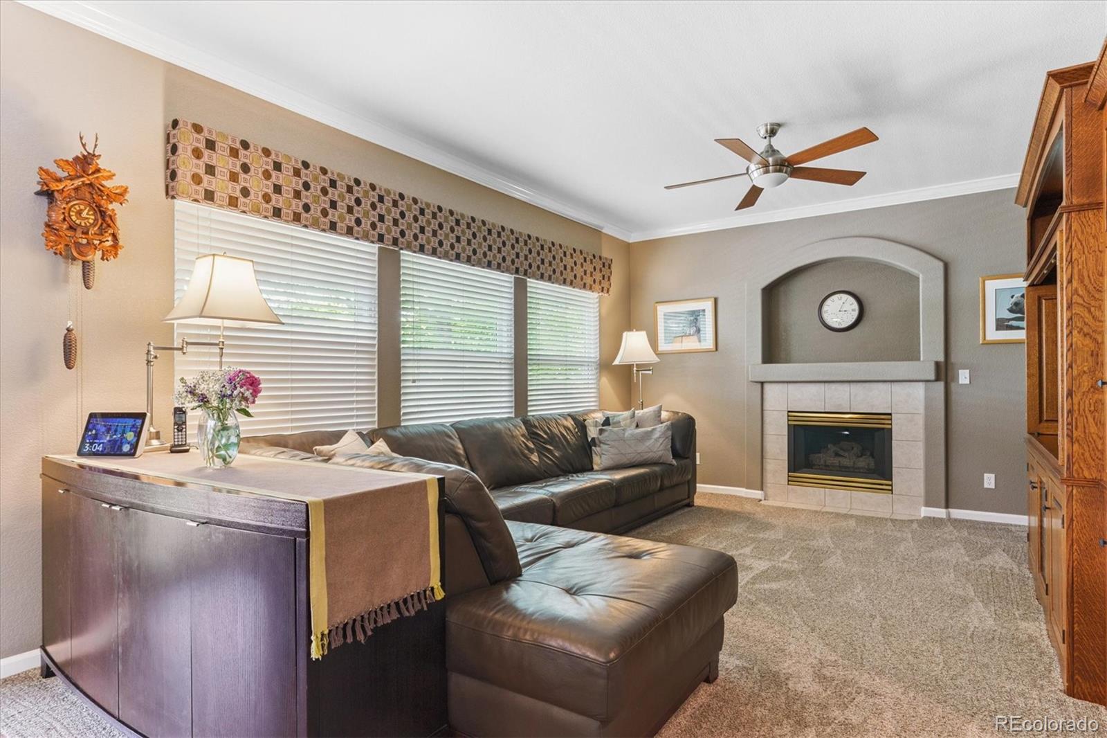 MLS Image #11 for 17407  armel court,parker, Colorado