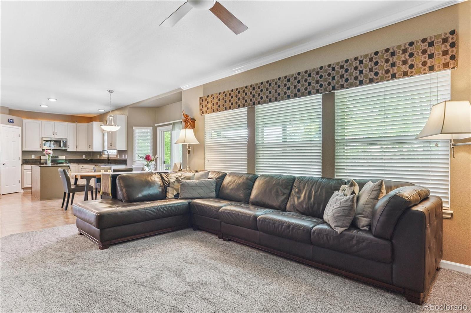 MLS Image #12 for 17407  armel court,parker, Colorado