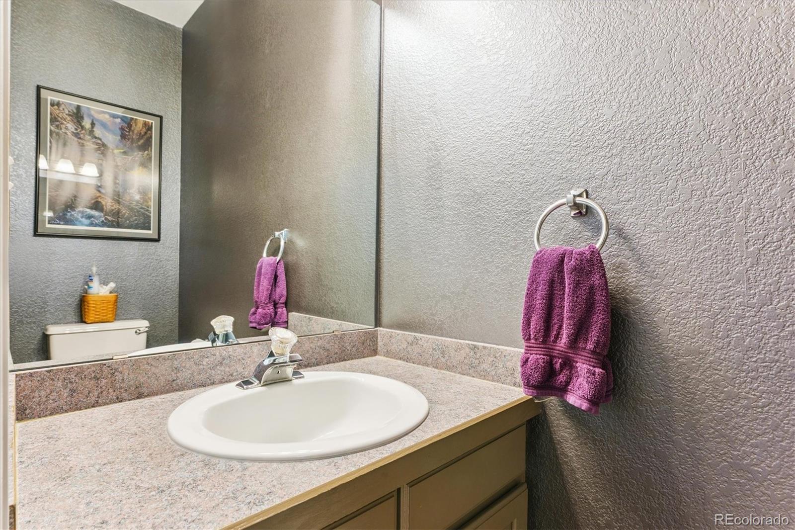 MLS Image #14 for 17407  armel court,parker, Colorado