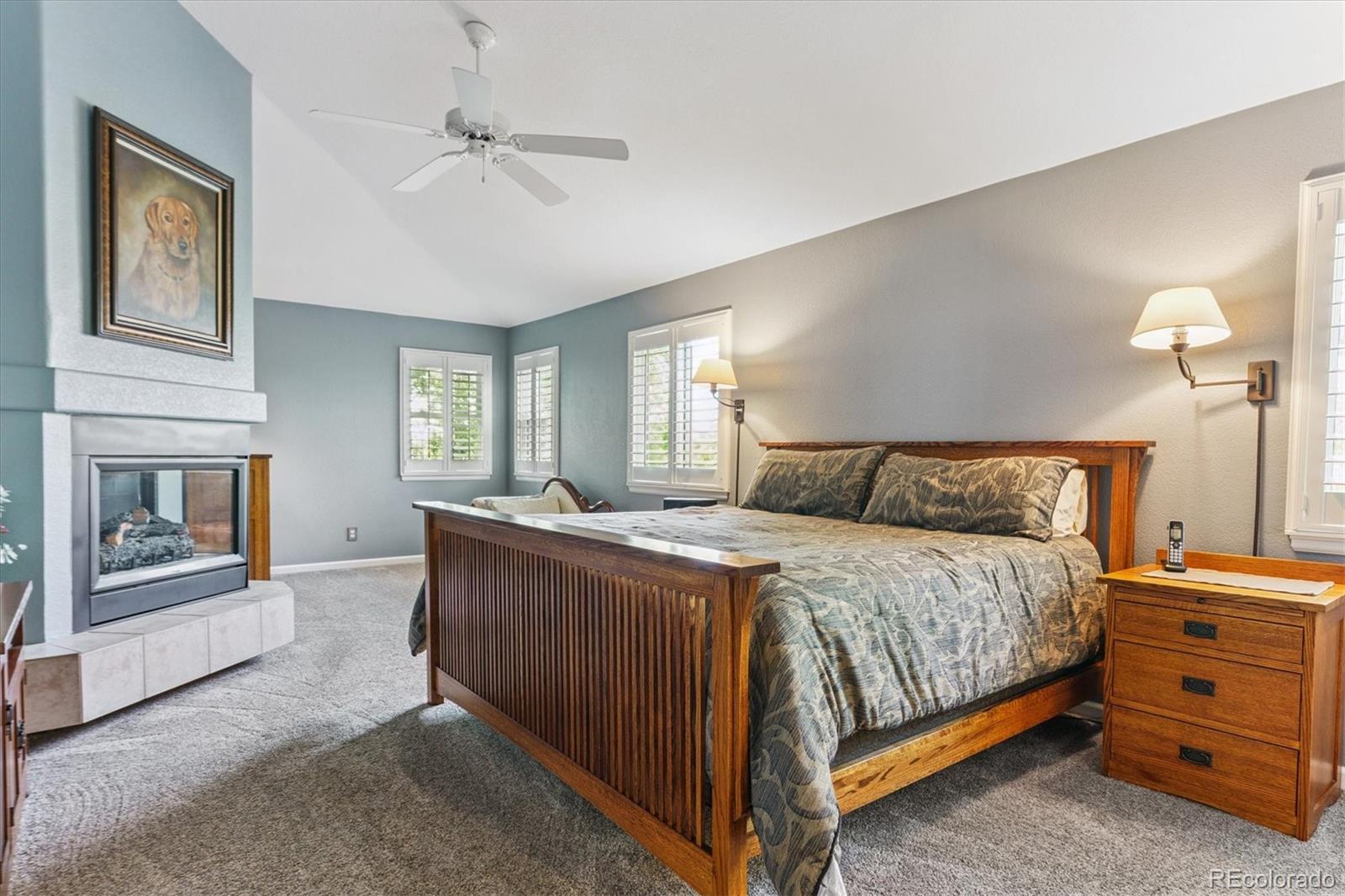 MLS Image #18 for 17407  armel court,parker, Colorado