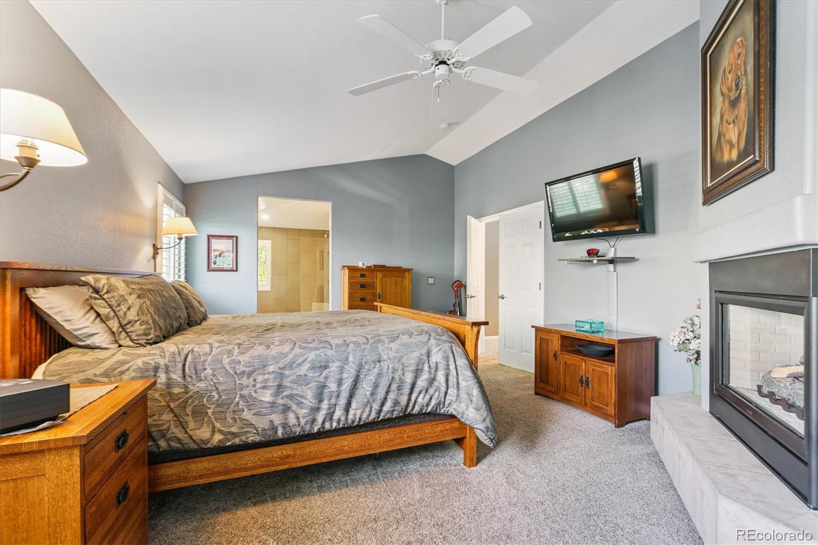 MLS Image #20 for 17407  armel court,parker, Colorado