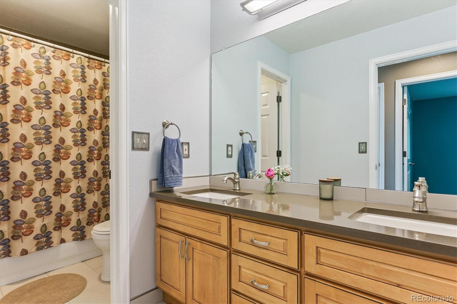 MLS Image #32 for 17407  armel court,parker, Colorado
