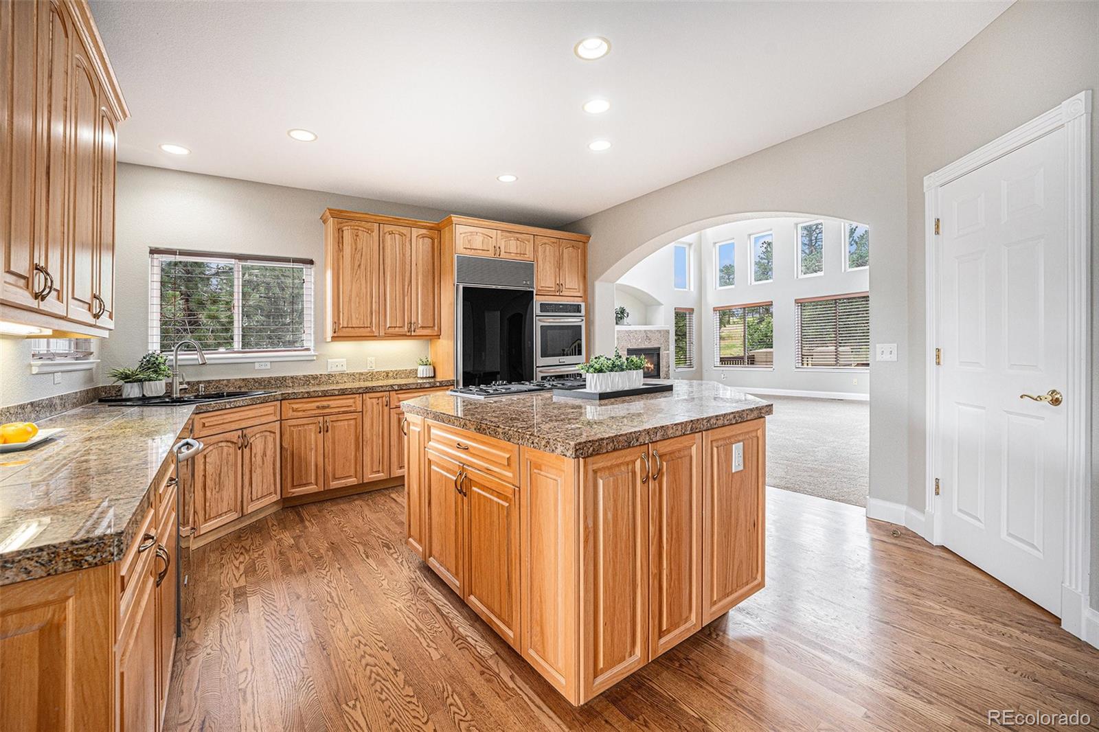MLS Image #11 for 7755  running fox way,parker, Colorado