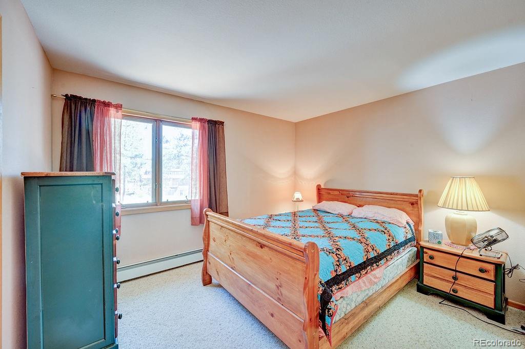MLS Image #16 for 18060  rio hondo drive,buena vista, Colorado