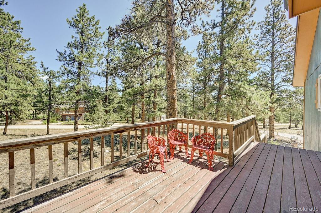 MLS Image #31 for 18060  rio hondo drive,buena vista, Colorado