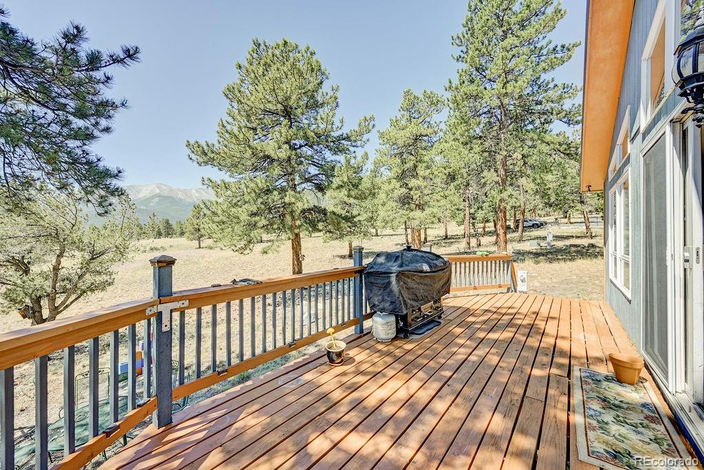 MLS Image #6 for 18060  rio hondo drive,buena vista, Colorado