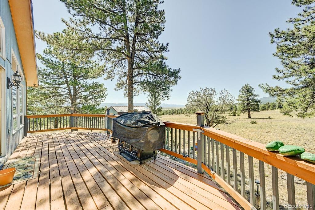 MLS Image #7 for 18060  rio hondo drive,buena vista, Colorado