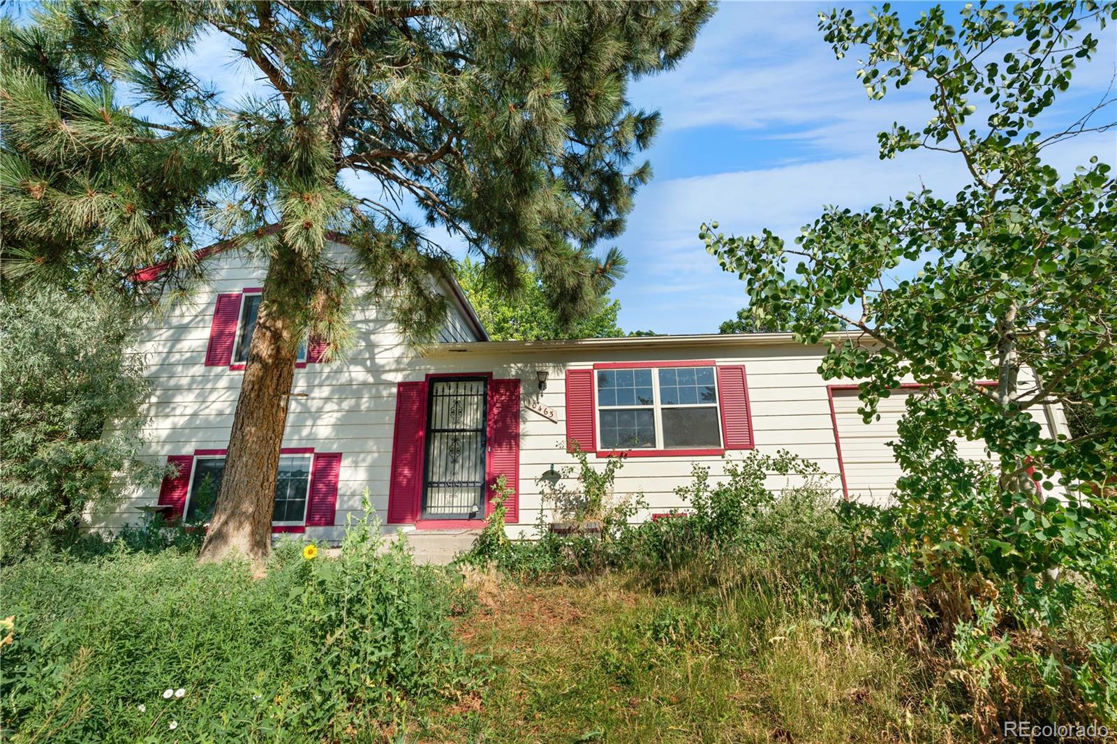 MLS Image #1 for 10463  kipling court,broomfield, Colorado