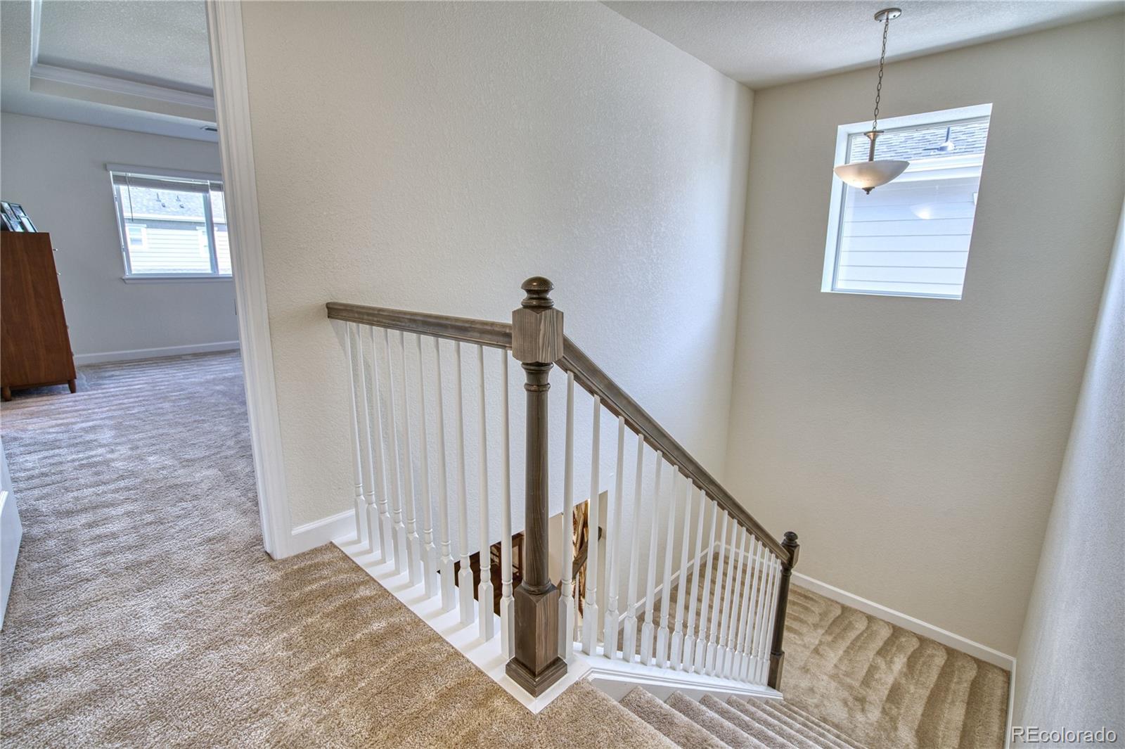 MLS Image #18 for 834  bear peak road,erie, Colorado