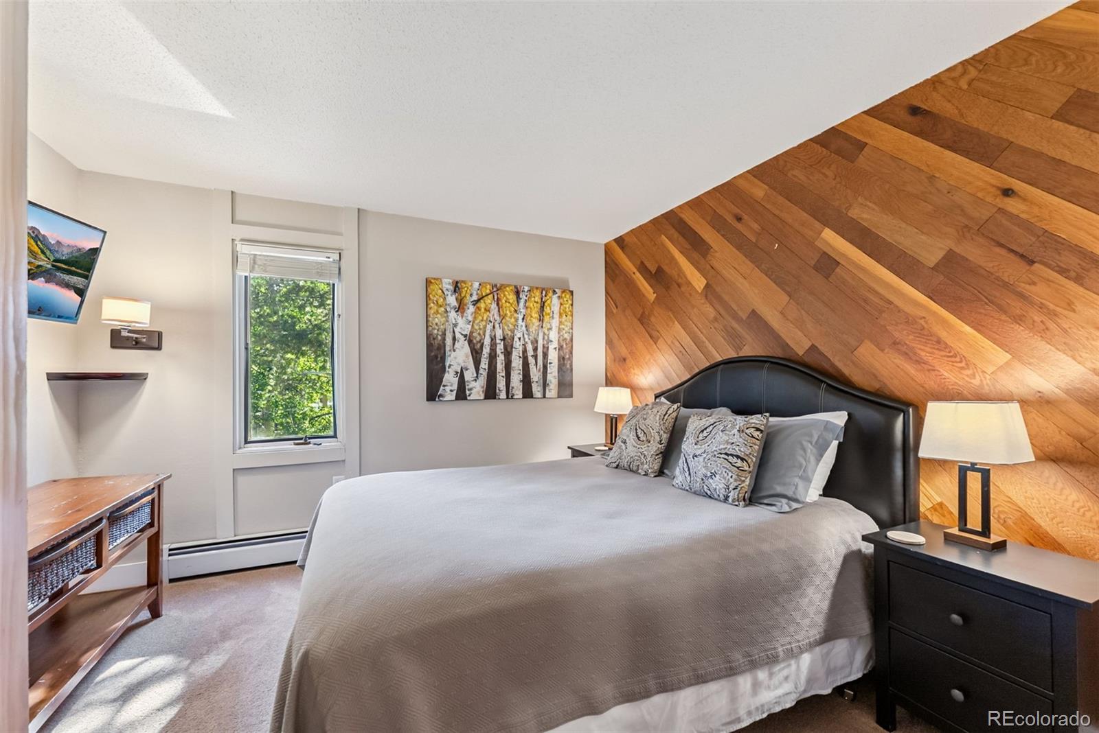 MLS Image #10 for 1105  ski hill road,breckenridge, Colorado