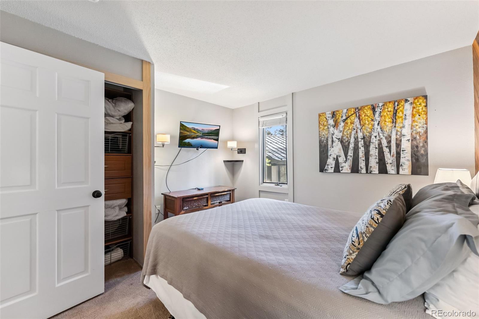 MLS Image #12 for 1105  ski hill road,breckenridge, Colorado
